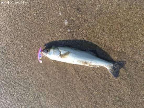 �����Х�