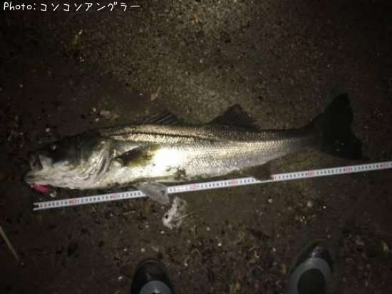 �����Х�