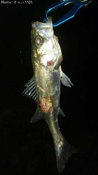 �����Х�