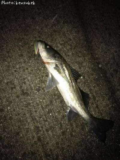 �����Х�