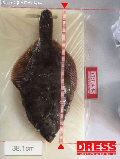 �ޥ����쥤