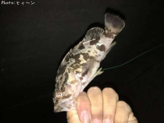 �����Υ�