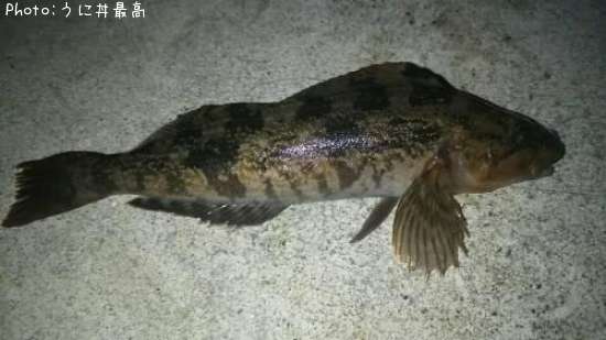 �����ʥ�