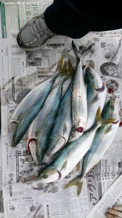 �ե��饲��������