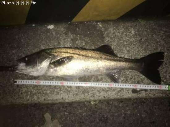 �����Х�