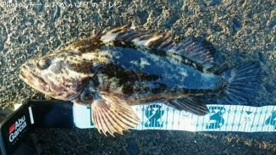 �����Υ���Х�