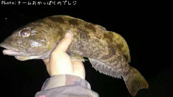 �����ʥ�