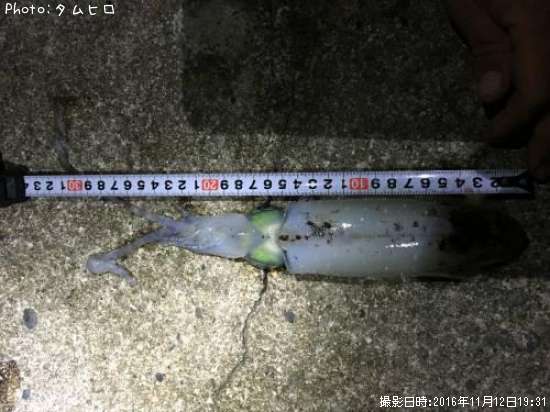 �����ꥤ��