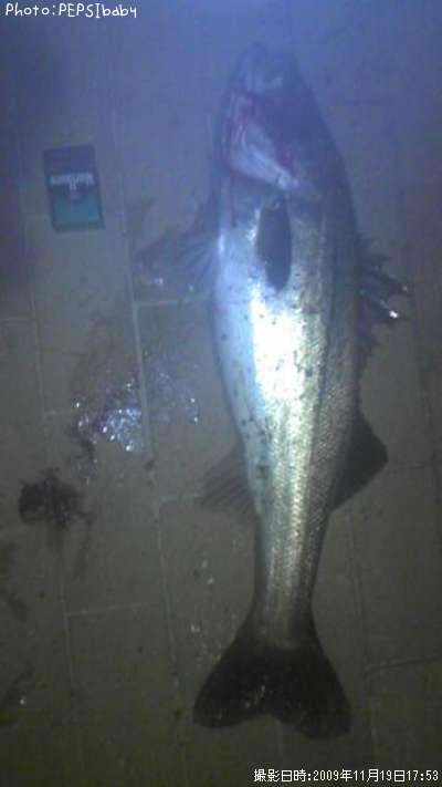 �����Х�