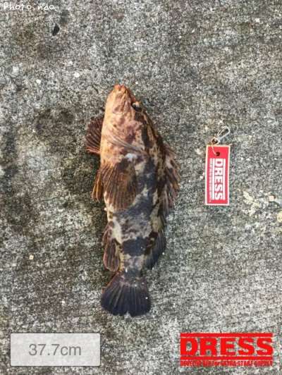 �����Υ���Х�