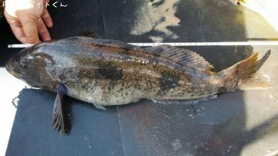 �����ʥ�