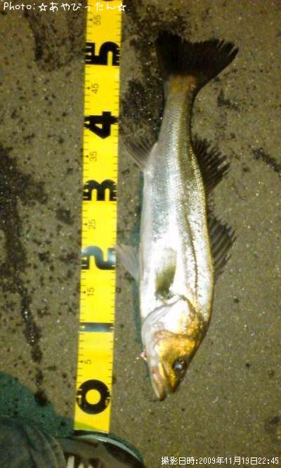 �����Х�