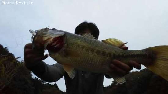 �֥�å��Х�