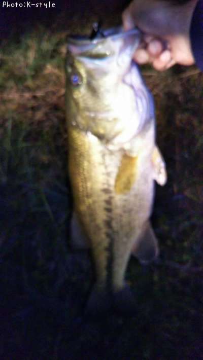 �֥�å��Х�