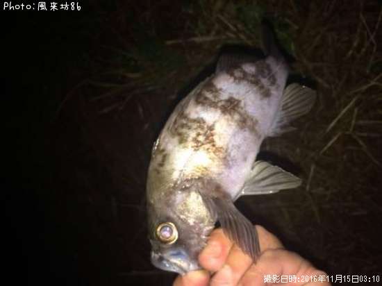 ���פ���Х�