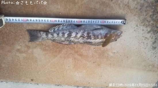 �����ʥ�