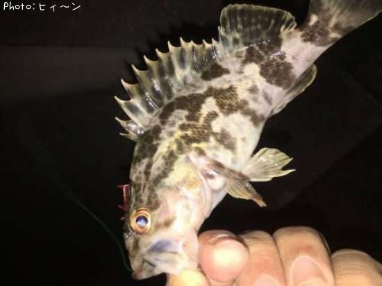 �����Υ���Х�