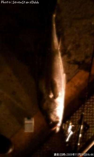 �����Х�