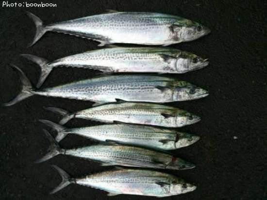 �����ݥ�����