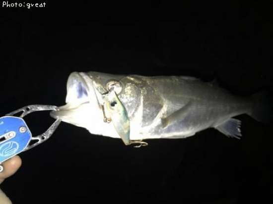 �����Х�