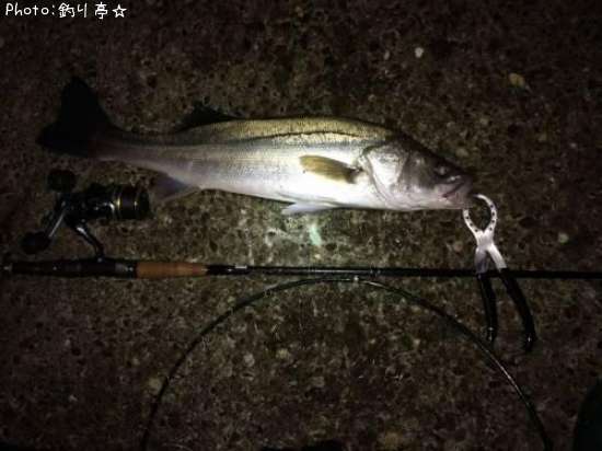 �����Х�