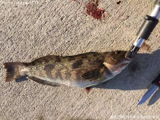 �����ʥ�