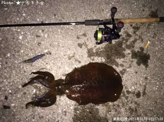 �����ꥤ��