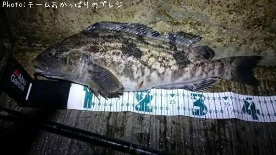 �����ʥ�