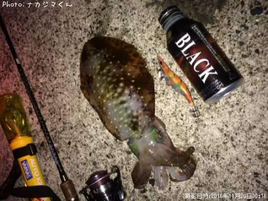 �����ꥤ��