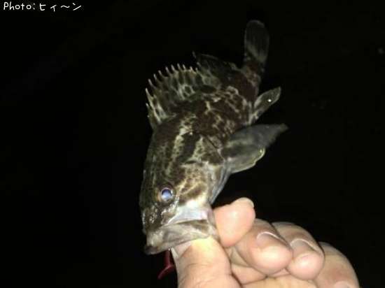 �����Υ���Х�