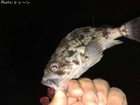 �����Υ�