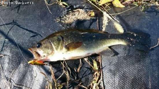 �֥�å��Х�