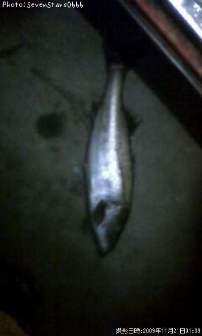 �����Х�