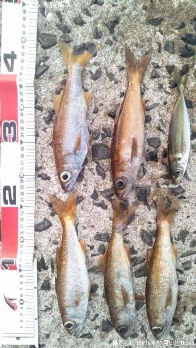 ��ġ�����