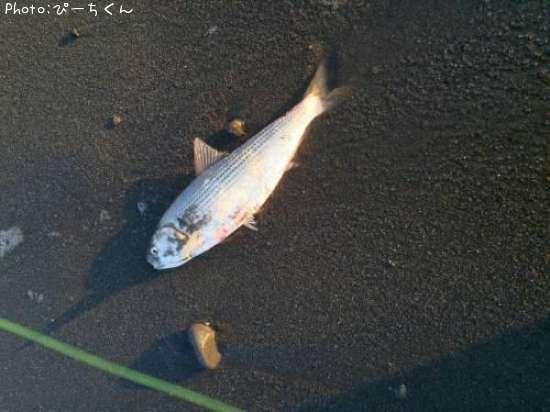 ���Υ���