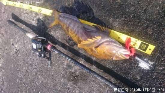 �����ʥ�