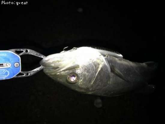 �����Х�