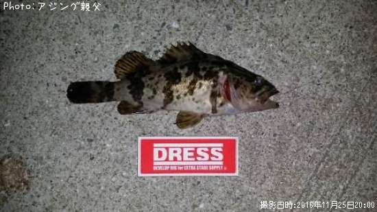 �����Υ���������