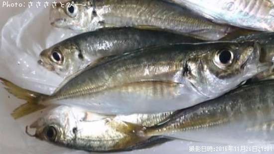 �����������Х�