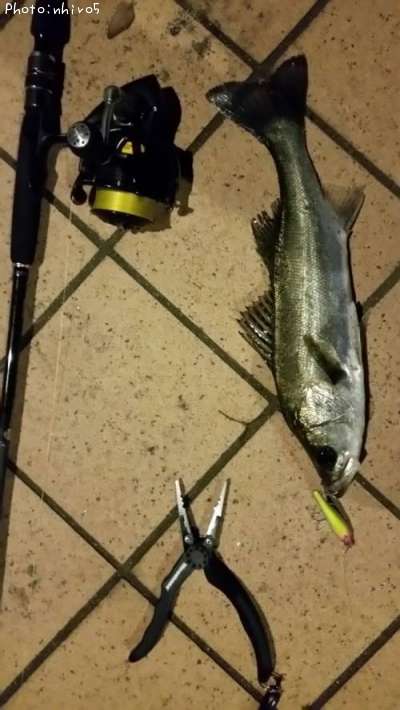 �����Х�