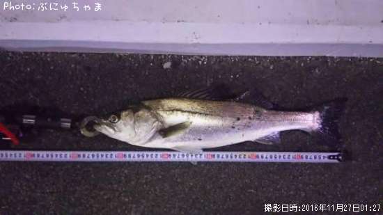 �����Х�