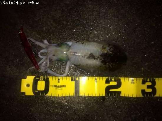 �����ꥤ��