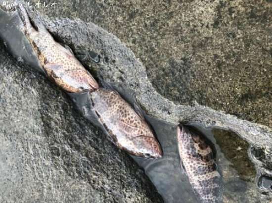 �������ϥ�