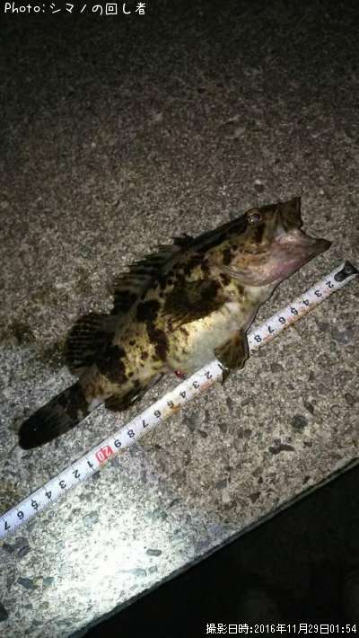 �����Υ���Х�