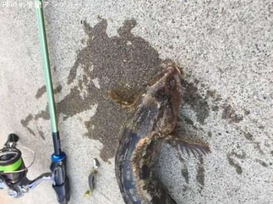 �����ʥ�