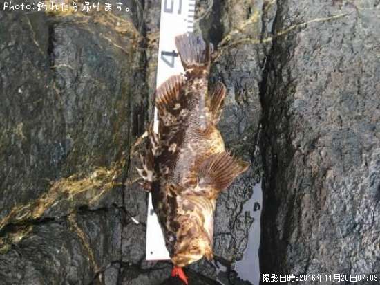 �٥å�������