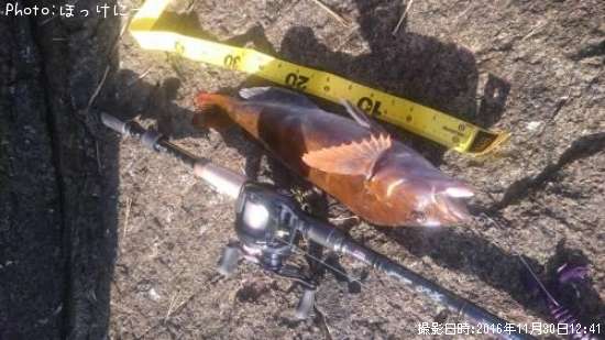 �����ʥ�