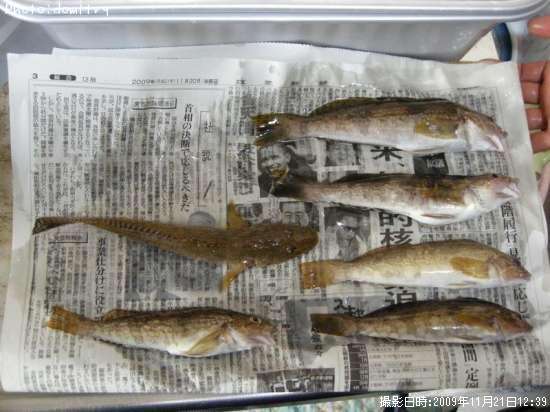 �����ʥ�