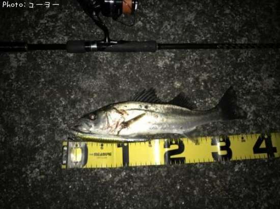 �����Х�