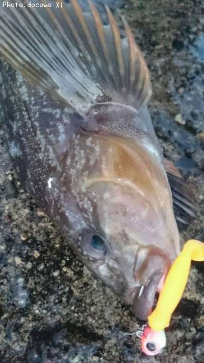 �����ʥ�